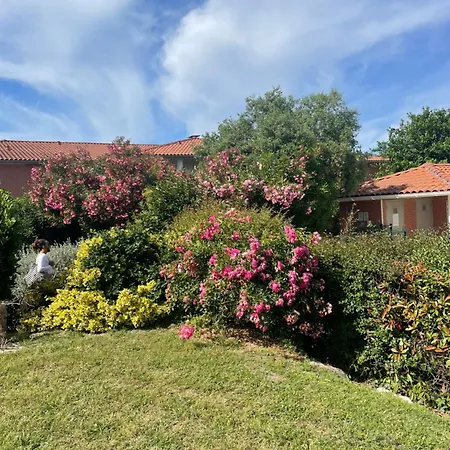 La Guinguette Du Ti Bonheur Ferienhaus Toulouse